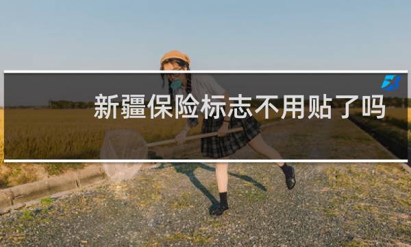 新疆保险标志不用贴了吗