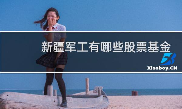 新疆军工有哪些股票基金