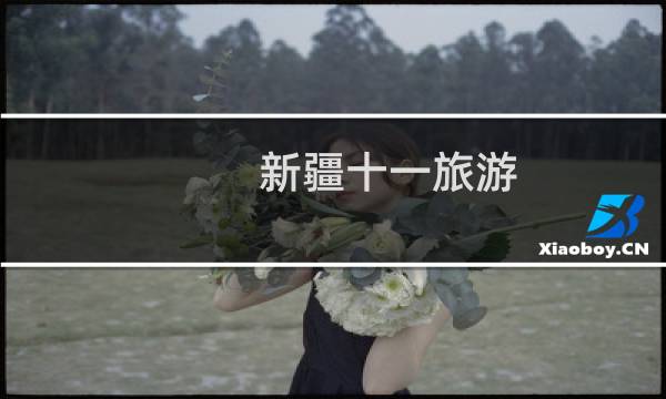 新疆十一旅游