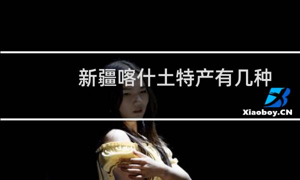 新疆喀什土特产有几种