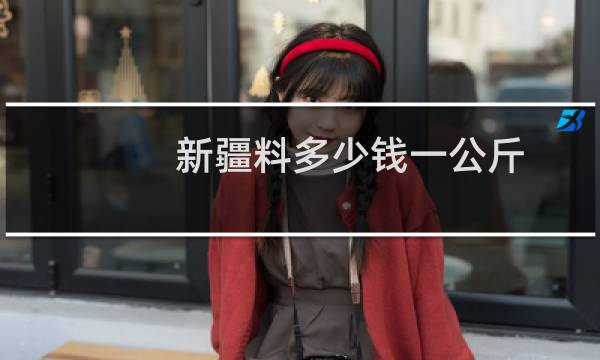 新疆料多少钱一公斤
