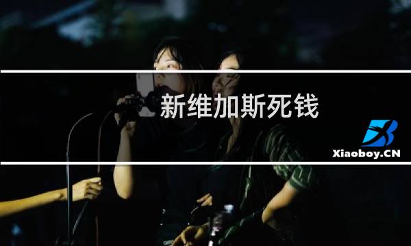 新维加斯死钱 攻略