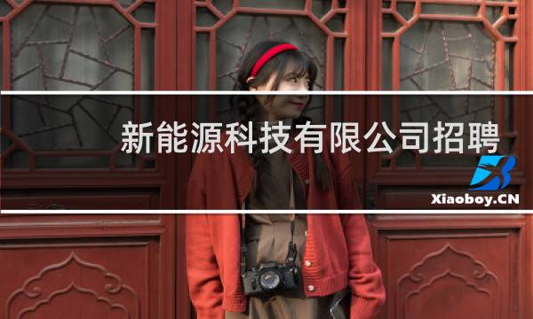 新能源科技有限公司招聘