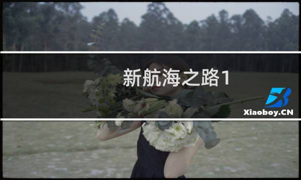 新航海之路1.2攻略