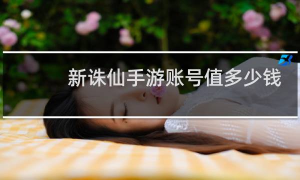 新诛仙手游账号值多少钱