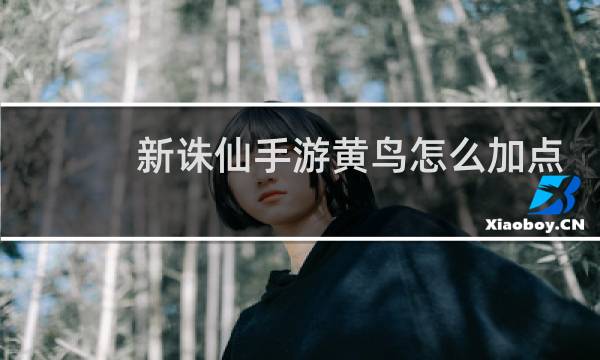 新诛仙手游黄鸟怎么加点