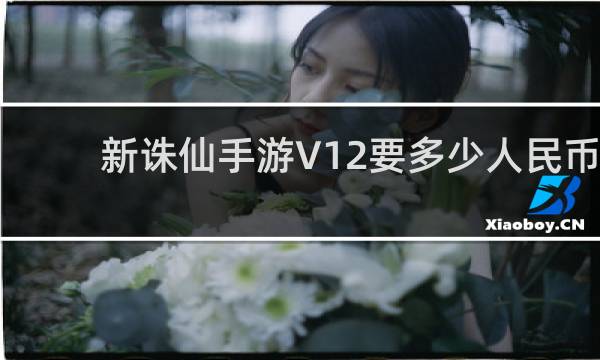 新诛仙手游V12要多少人民币