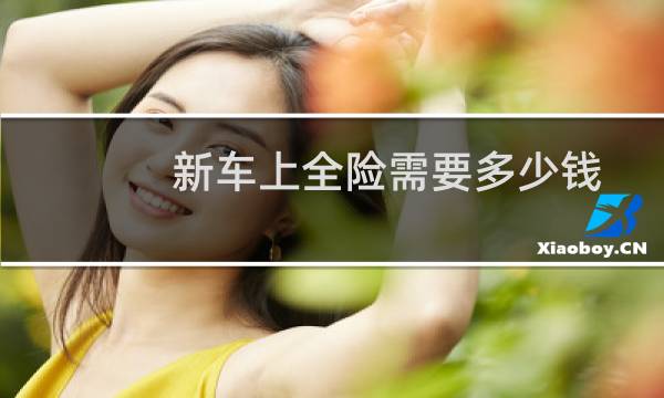 新车上全险需要多少钱