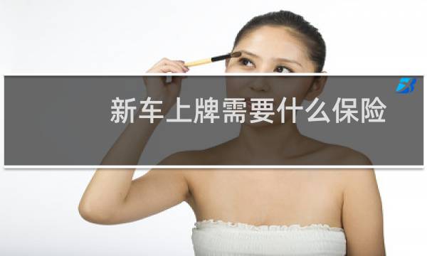 新车上牌需要什么保险