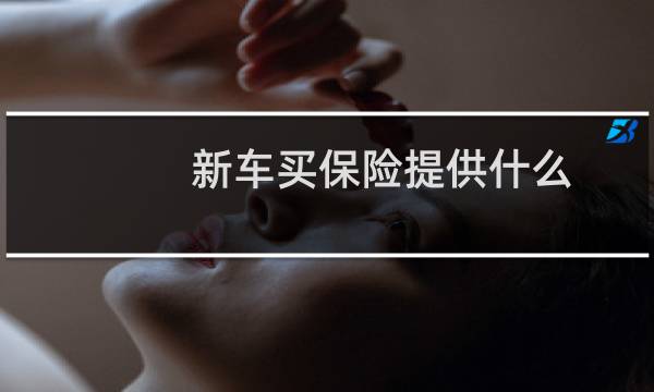 新车买保险提供什么