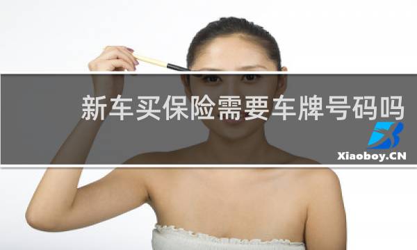 新车买保险需要车牌号码吗