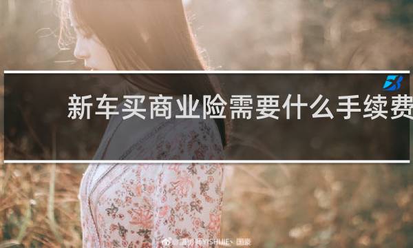 新车买商业险需要什么手续费