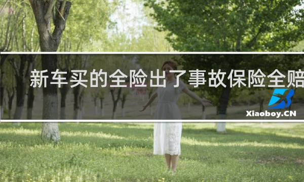 新车买的全险出了事故保险全赔吗