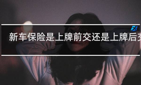 新车保险是上牌前交还是上牌后交啊