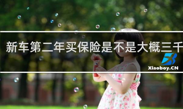 新车第二年买保险是不是大概三千多点