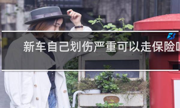 新车自己划伤严重可以走保险吗