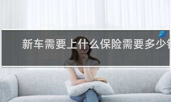 新车需要上什么保险需要多少钱