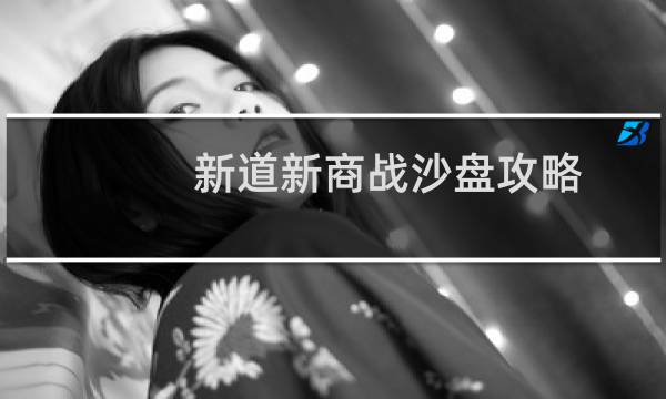 新道新商战沙盘攻略
