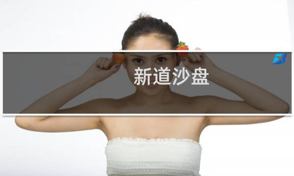新道沙盘 攻略