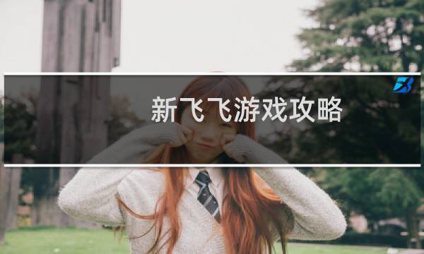 新飞飞游戏攻略