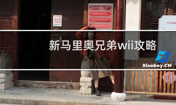 新马里奥兄弟wii攻略