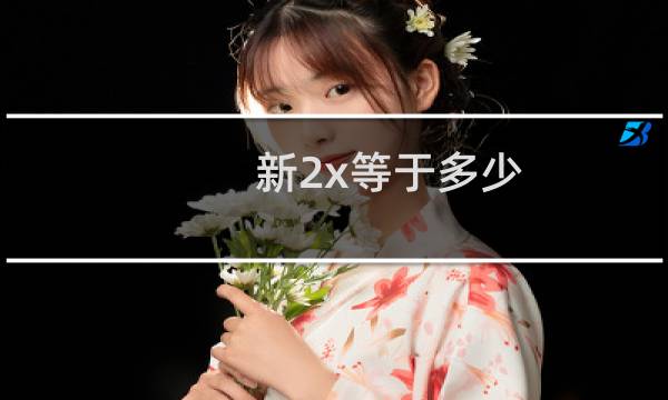 新2x等于多少
