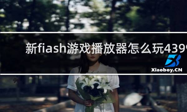 新fiash游戏播放器怎么玩4399