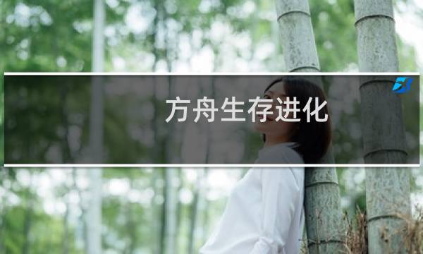 方舟生存进化 成人
