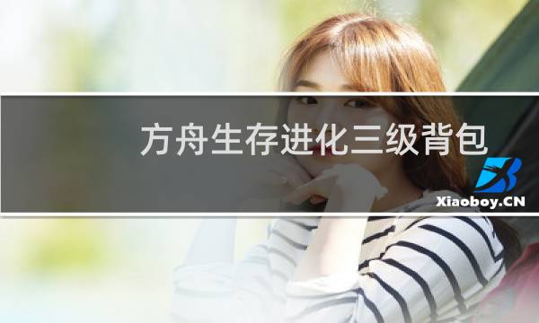 方舟生存进化三级背包