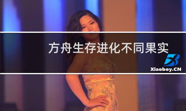 方舟生存进化不同果实