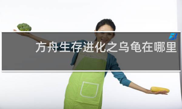 方舟生存进化之乌龟在哪里