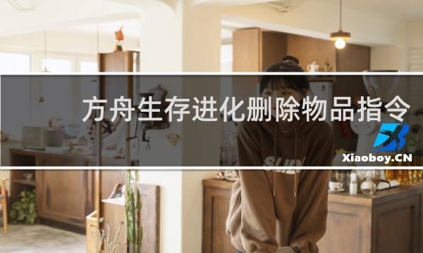 方舟生存进化删除物品指令