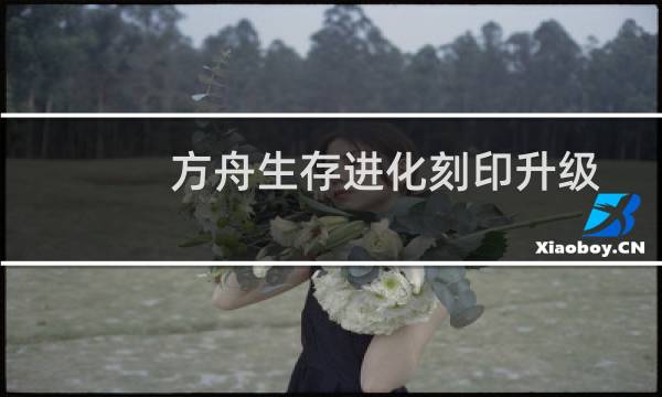 方舟生存进化刻印升级