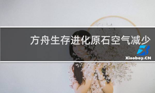 方舟生存进化原石空气减少