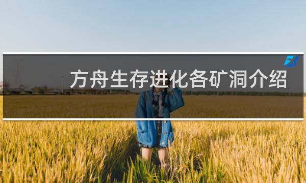 方舟生存进化各矿洞介绍