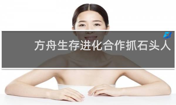 方舟生存进化合作抓石头人