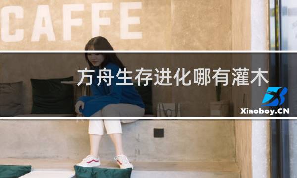 方舟生存进化哪有灌木