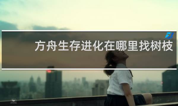 方舟生存进化在哪里找树枝
