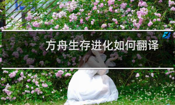 方舟生存进化如何翻译