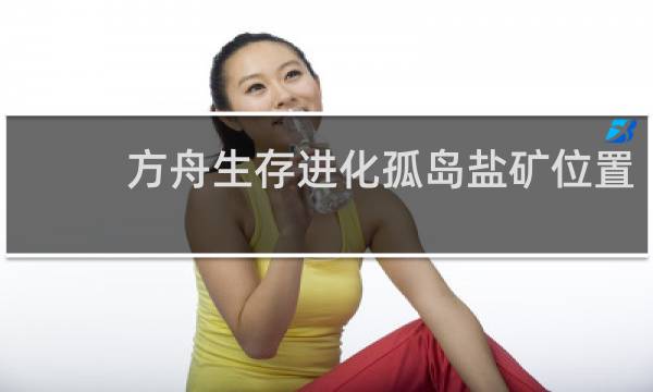 方舟生存进化孤岛盐矿位置