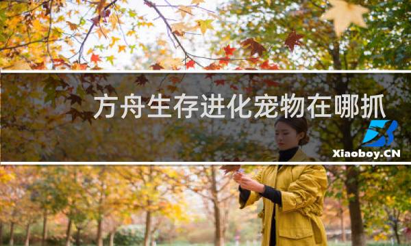 方舟生存进化宠物在哪抓
