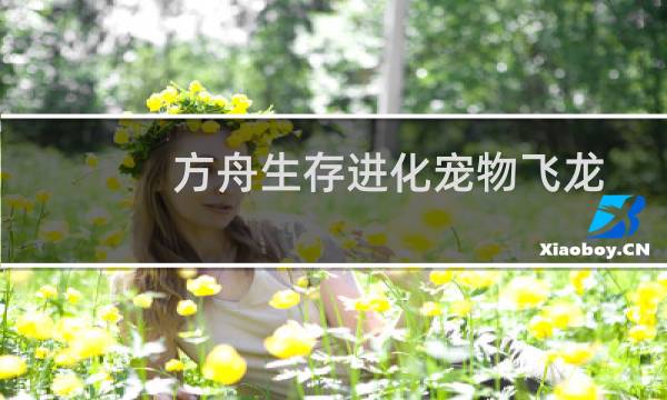 方舟生存进化宠物飞龙