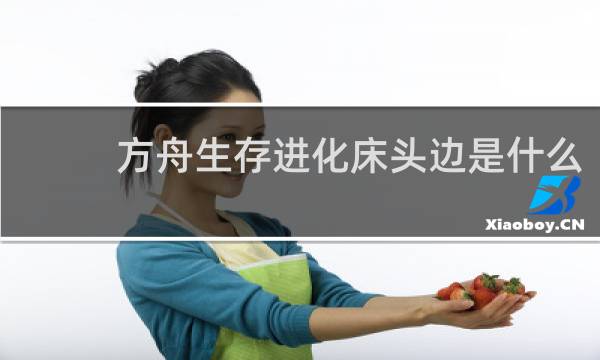 方舟生存进化床头边是什么