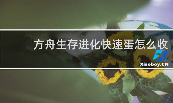 方舟生存进化快速蛋怎么收