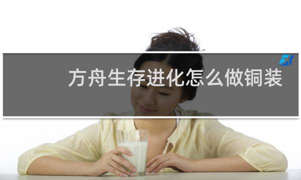 方舟生存进化怎么做铜装