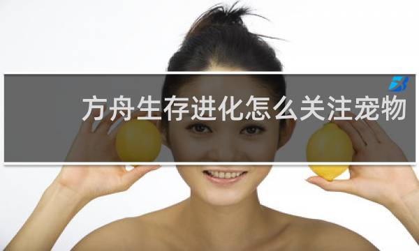 方舟生存进化怎么关注宠物