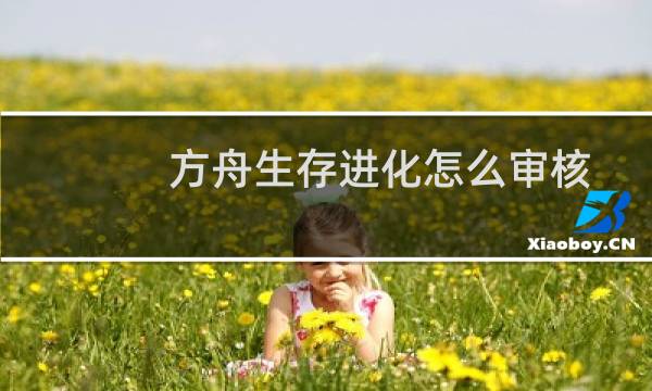 方舟生存进化怎么审核
