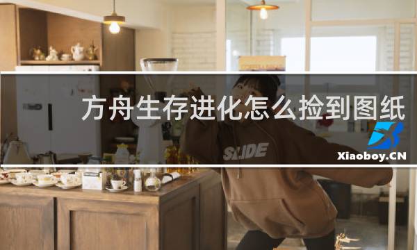 方舟生存进化怎么捡到图纸