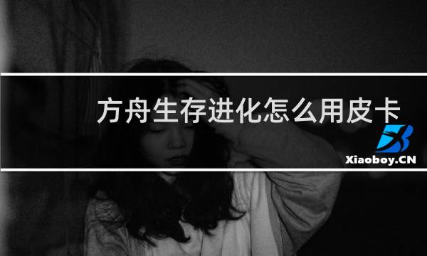 方舟生存进化怎么用皮卡