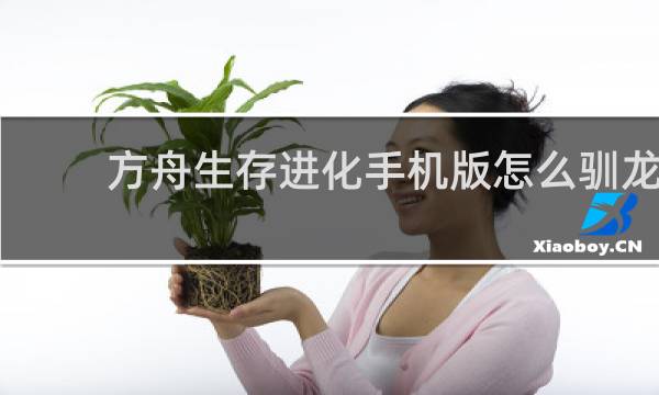 方舟生存进化手机版怎么驯龙